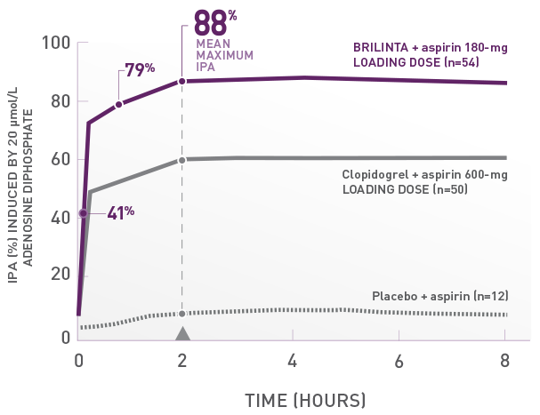 Assessment of IPA over 8 Hours