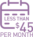 Monthly Pay Icon