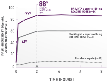 Assessment of IPA over 8 Hours